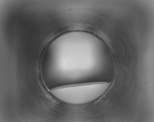 X0000072970345200607211036