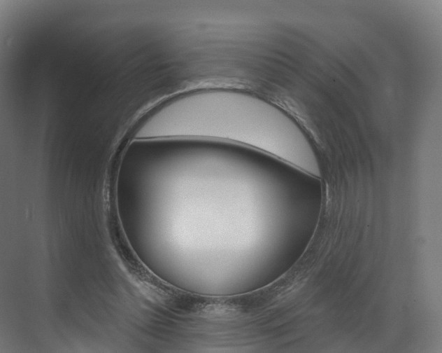 X0000072970348200607211036