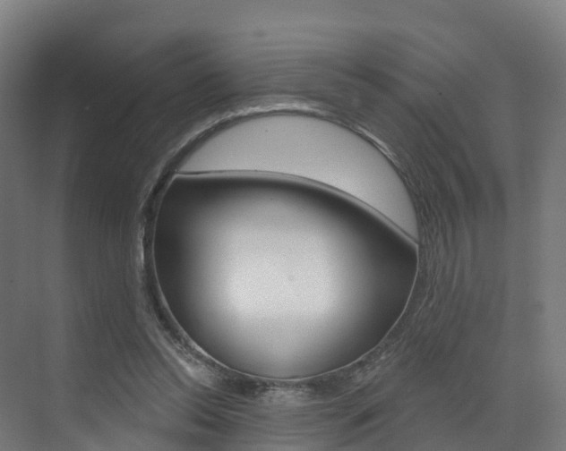 X0000072970350200607211036