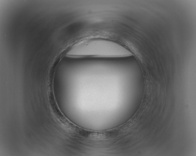 X0000072970354200607211036