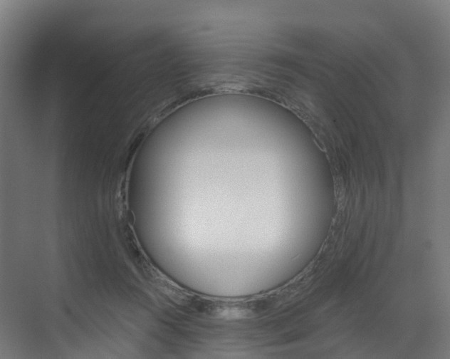 X0000072970360200607211036