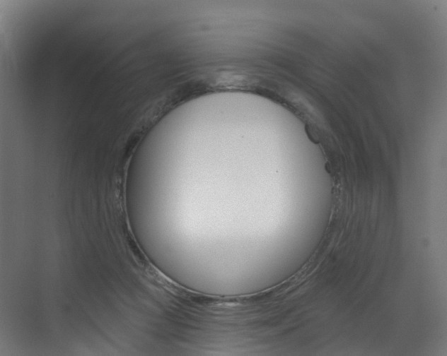 X0000072970361200607211036