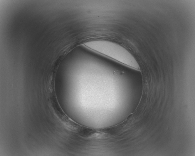 X0000072970364200607211036