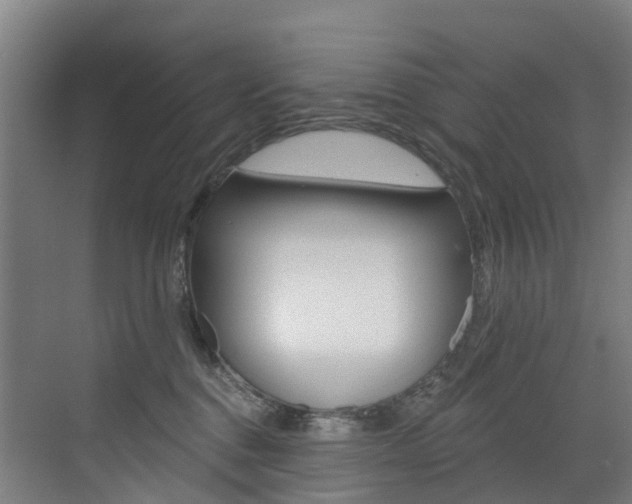 X0000072970376200607211037