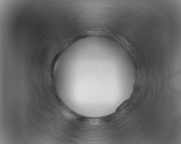 X0000072970377200607211037