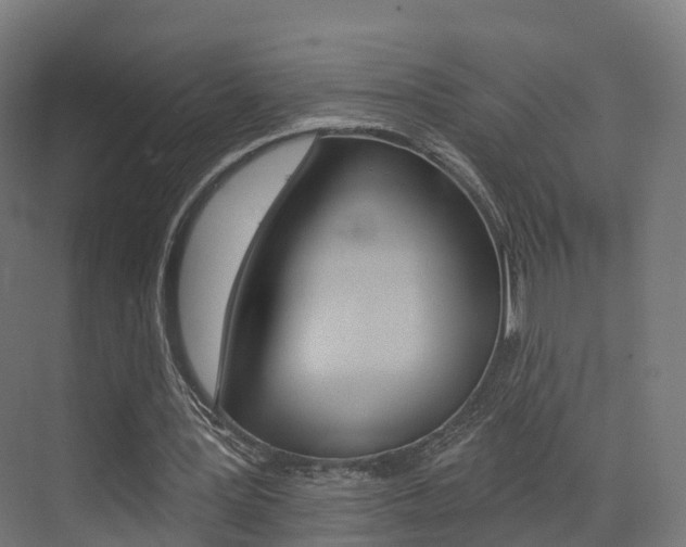 X0000072970387200607211036