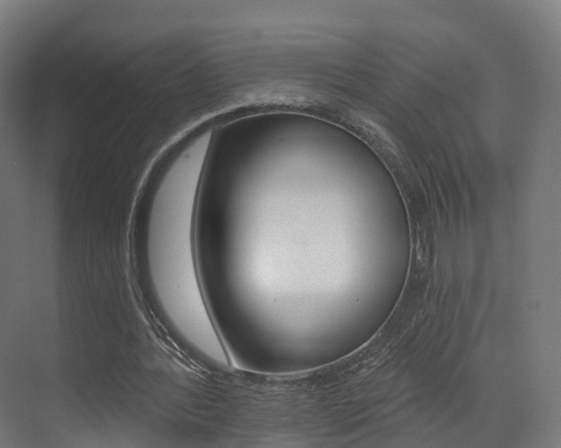 X0000072970388200607211036