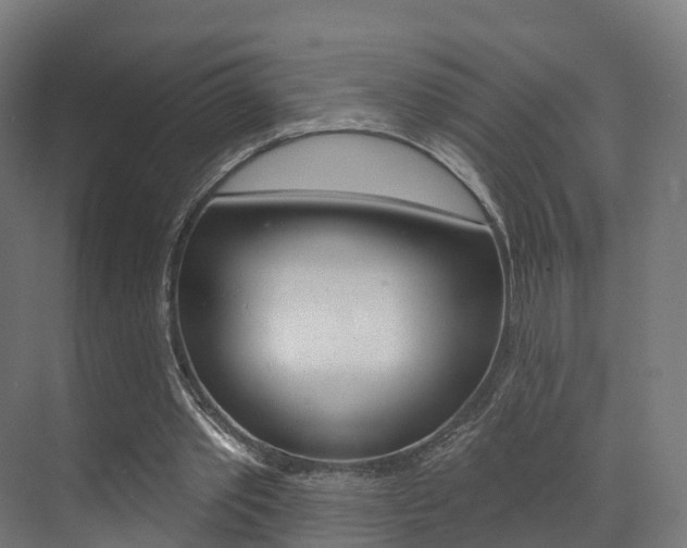 X0000072970389200607211036