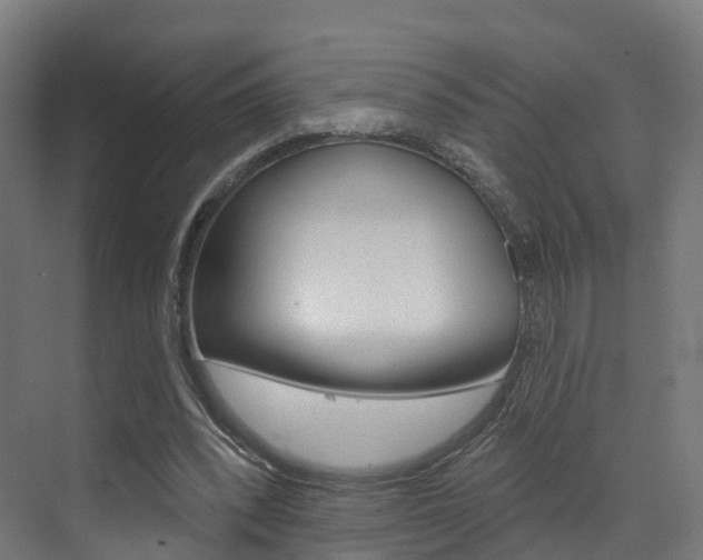 X0000072970392200607211036
