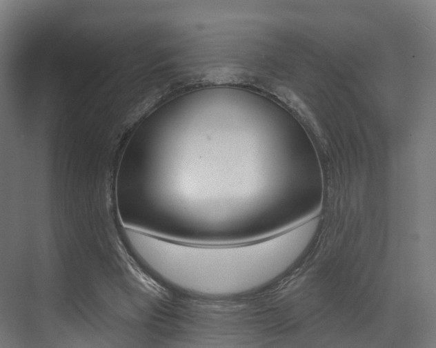 X0000072970393200607211036