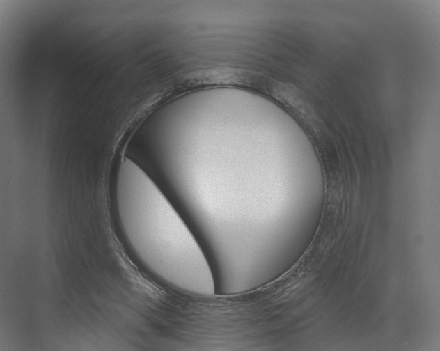 X0000072970394200607211036