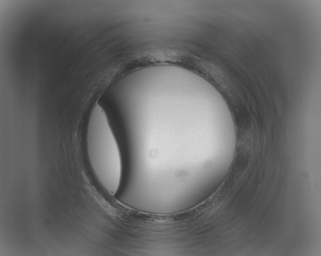 X0000072970402200607211036