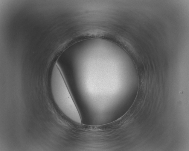 X0000072970403200607211036