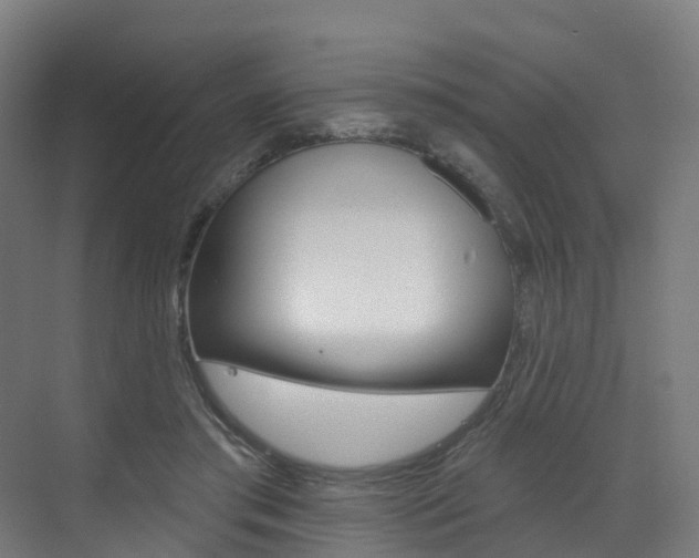 X0000072970405200607211036