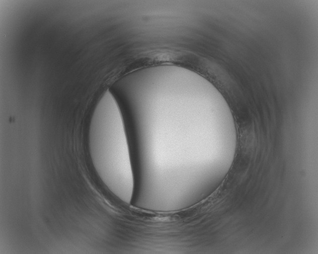X0000072970406200607211036