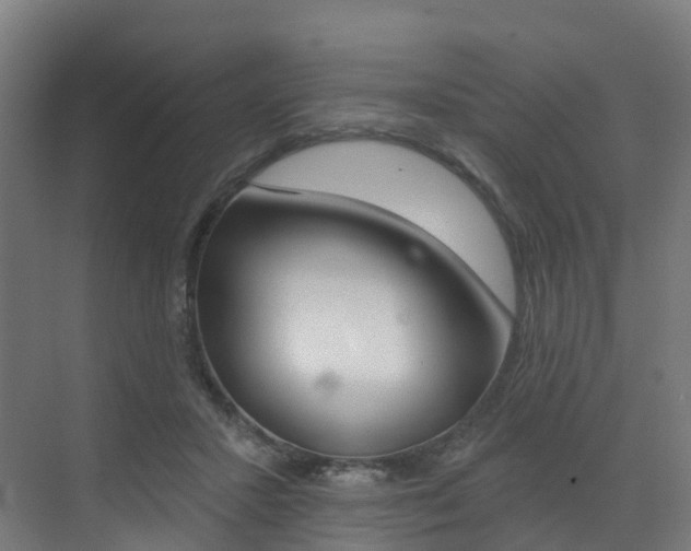 X0000072970407200607211036