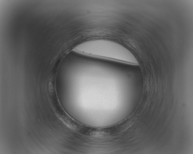 X0000072970408200607211036