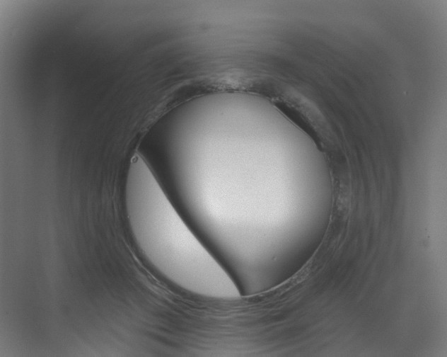 X0000072970409200607211036