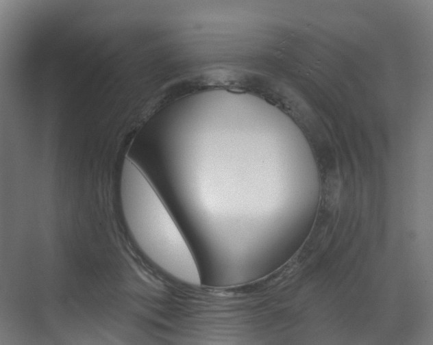 X0000072970413200607211036