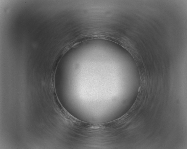 X0000072970415200607211035