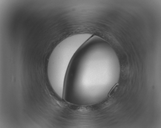 X0000072970416200607211035