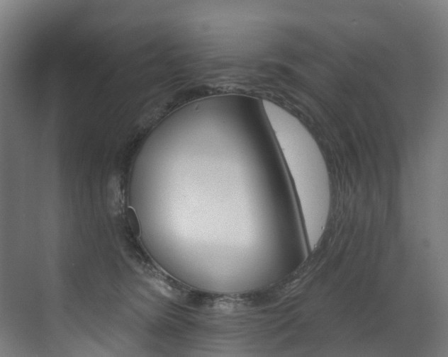 X0000072970420200607211035