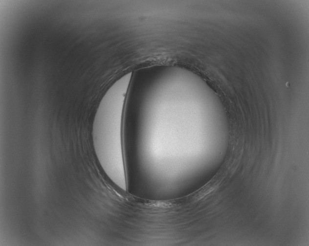 X0000072970432200607211035