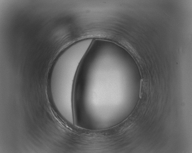 X0000072970434200607211034