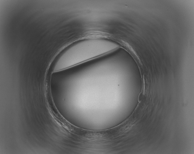 X0000072970435200607211034