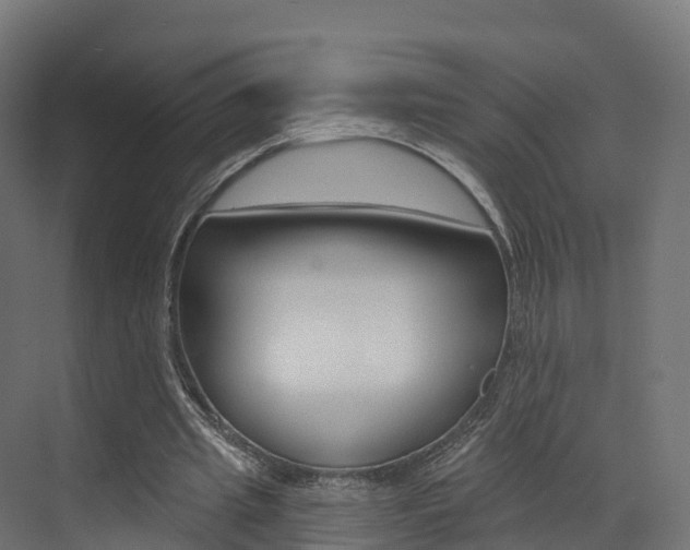X0000072970437200607211034