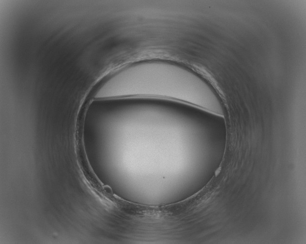 X0000072970439200607211034