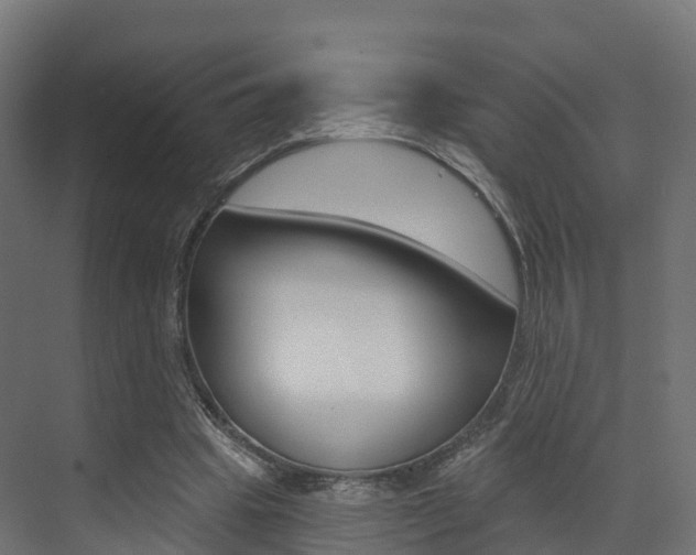 X0000072970441200607211035