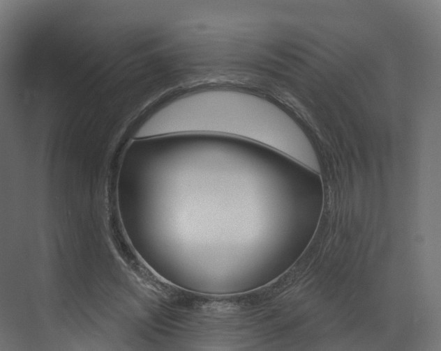 X0000072970444200607211035