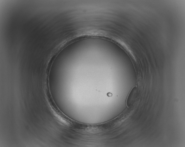 X0000072970445200607211035