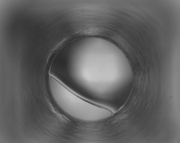 X0000072970446200607211035