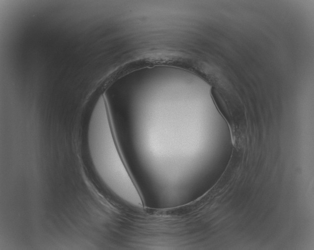 X0000072970448200607211035