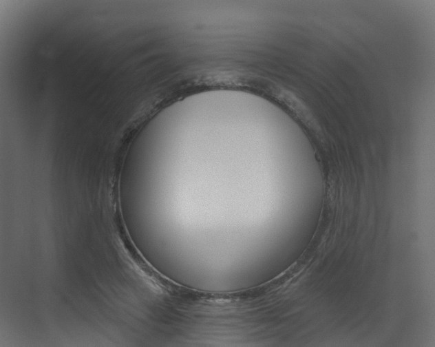 X0000072970449200607211035