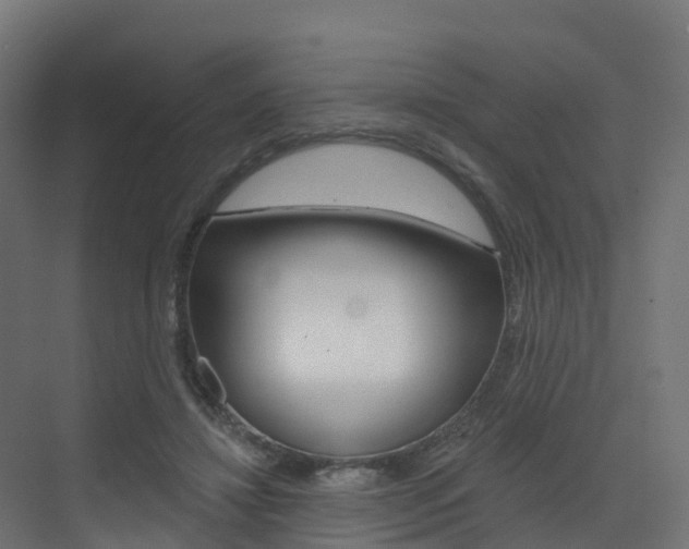 X0000072970452200607211035