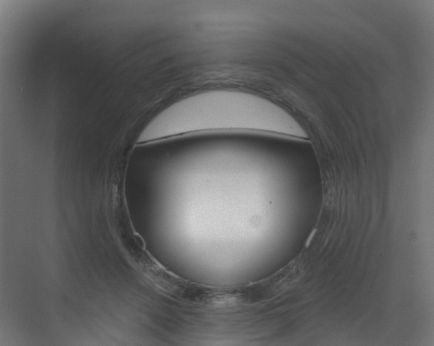 X0000072970456200607211035