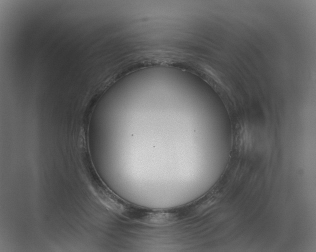 X0000072970459200607211035