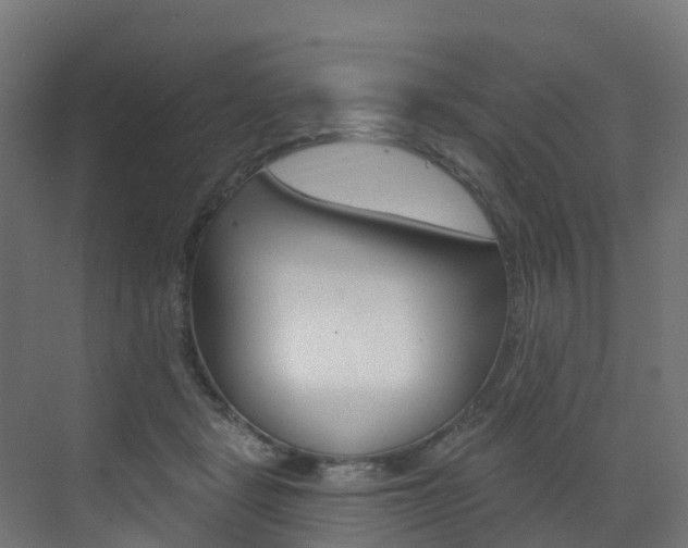 X0000072970461200607211035