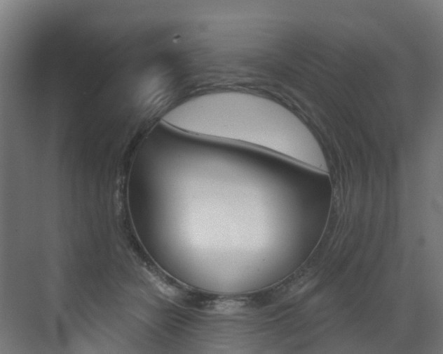 X0000072970462200607211035