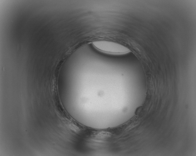 X0000072970463200607211035