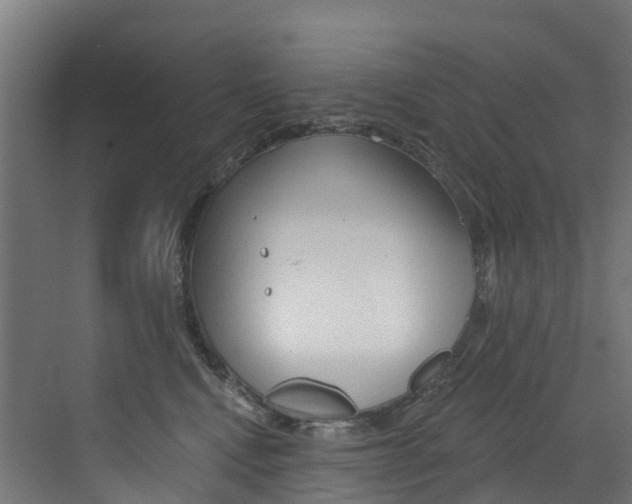 X0000072970472200607211035