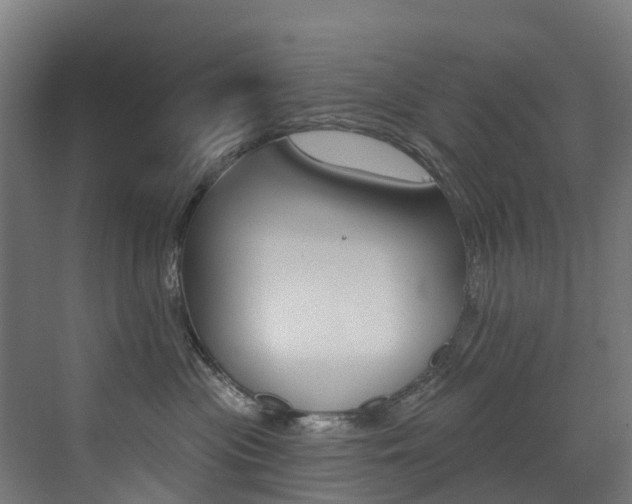 X0000072970477200607211035