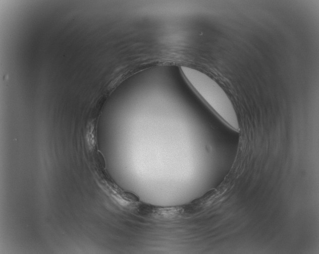 X0000072970479200607211035