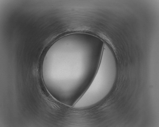 X0000072970483200607211034