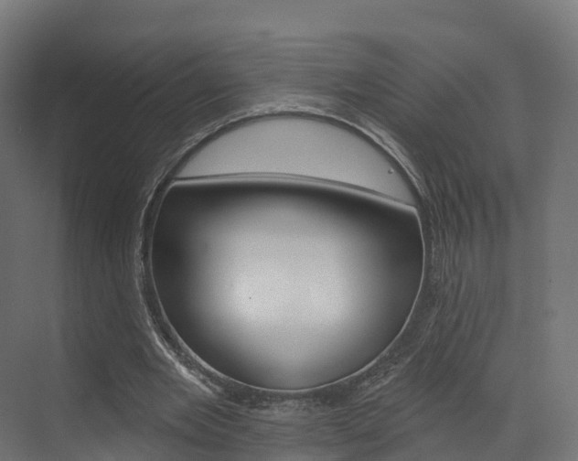 X0000072970485200607211034