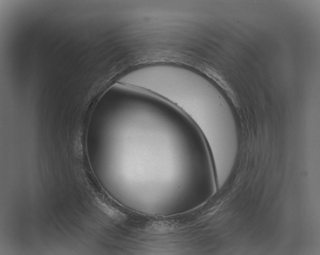 X0000072970489200607211034