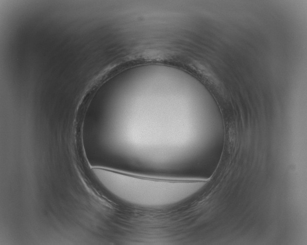 X0000072970492200607211034